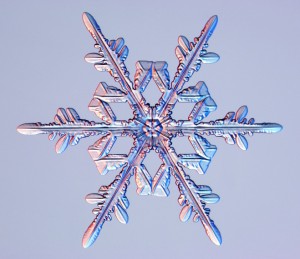 snowflake2[1]